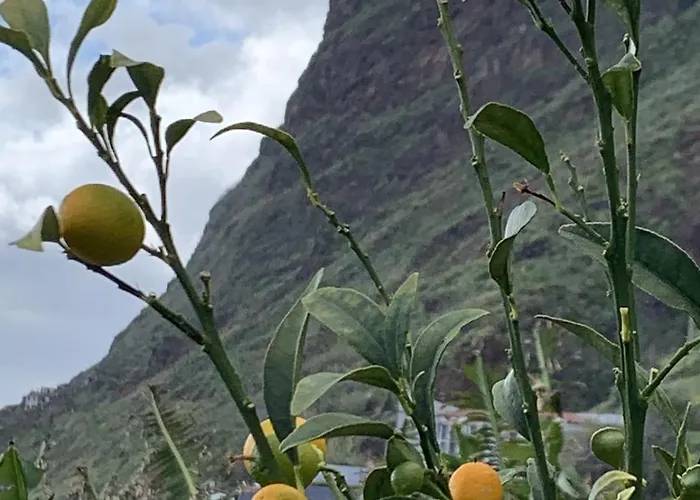 فيلة O Pomar With Optional Heated Pool *