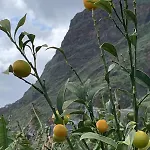 Vila O Pomar With Optional Heated Pool *