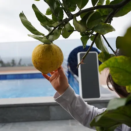 O Pomar With Optional Heated Pool Vila Paul do Mar (Madeira)